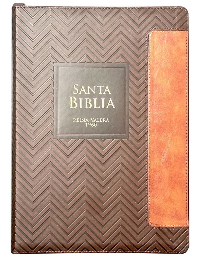 Libreria Cristiana Arca