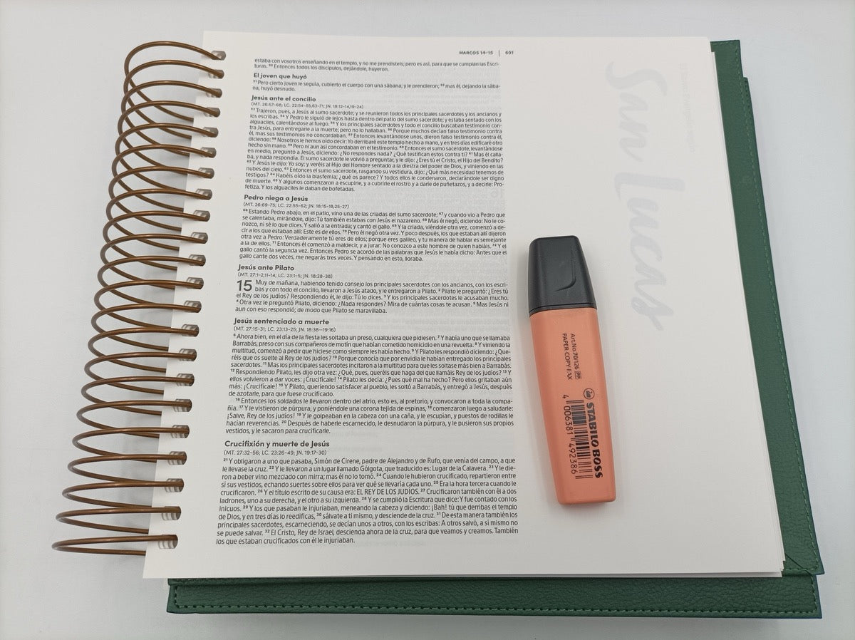 Biblia RVR 1960 para Ilustrar Verde Símil Piel