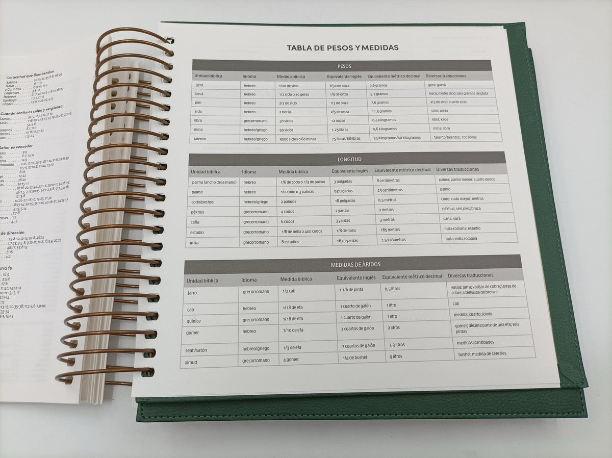 Biblia RVR 1960 para Ilustrar Verde Símil Piel