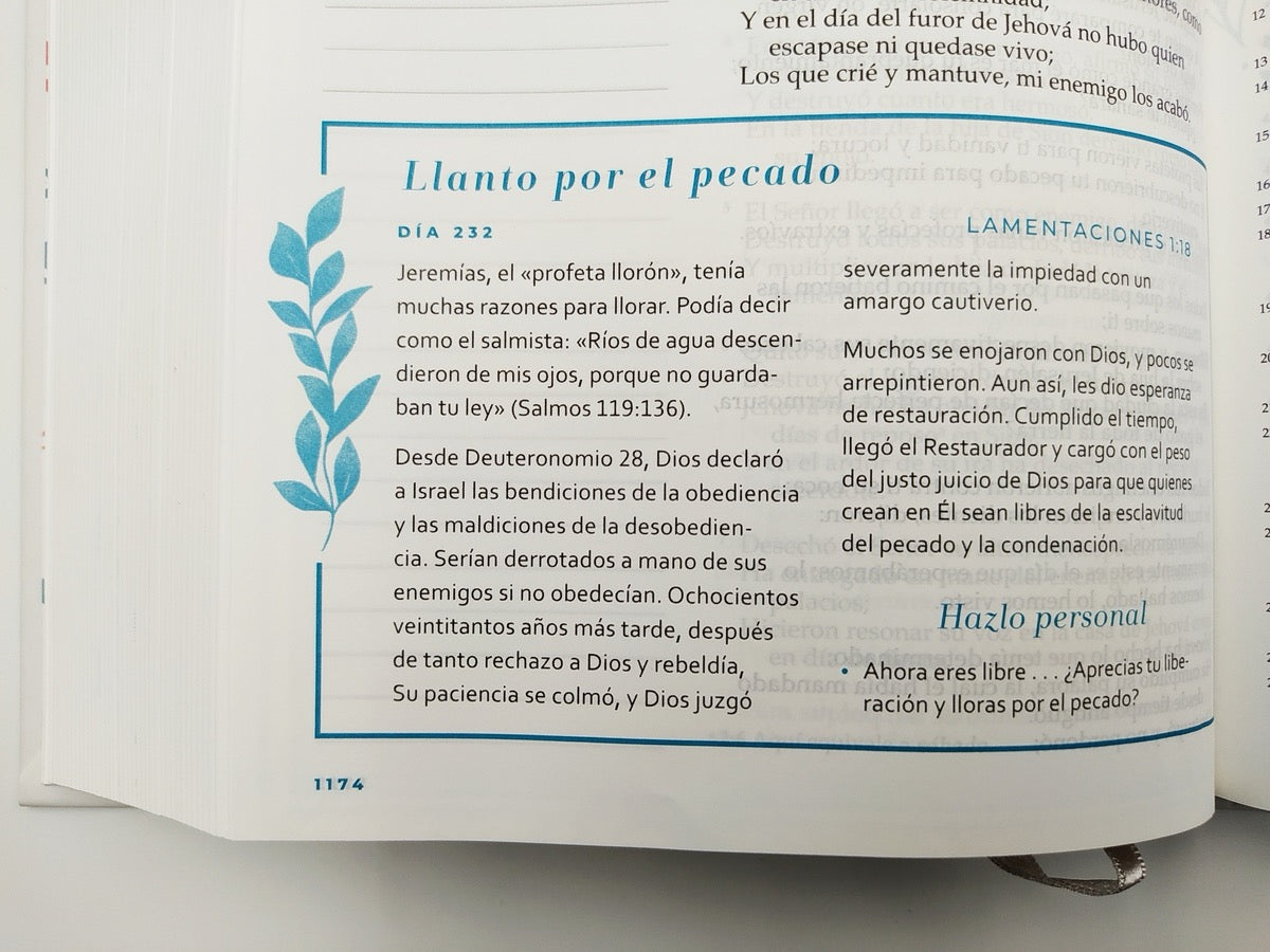 Libreria Cristiana Arca