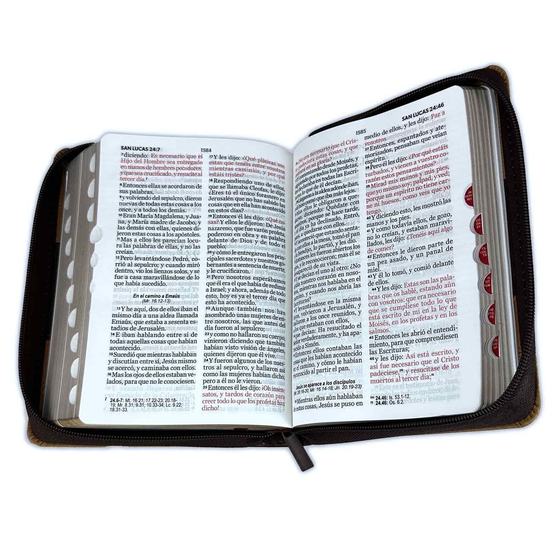 Libreria Cristiana Arca