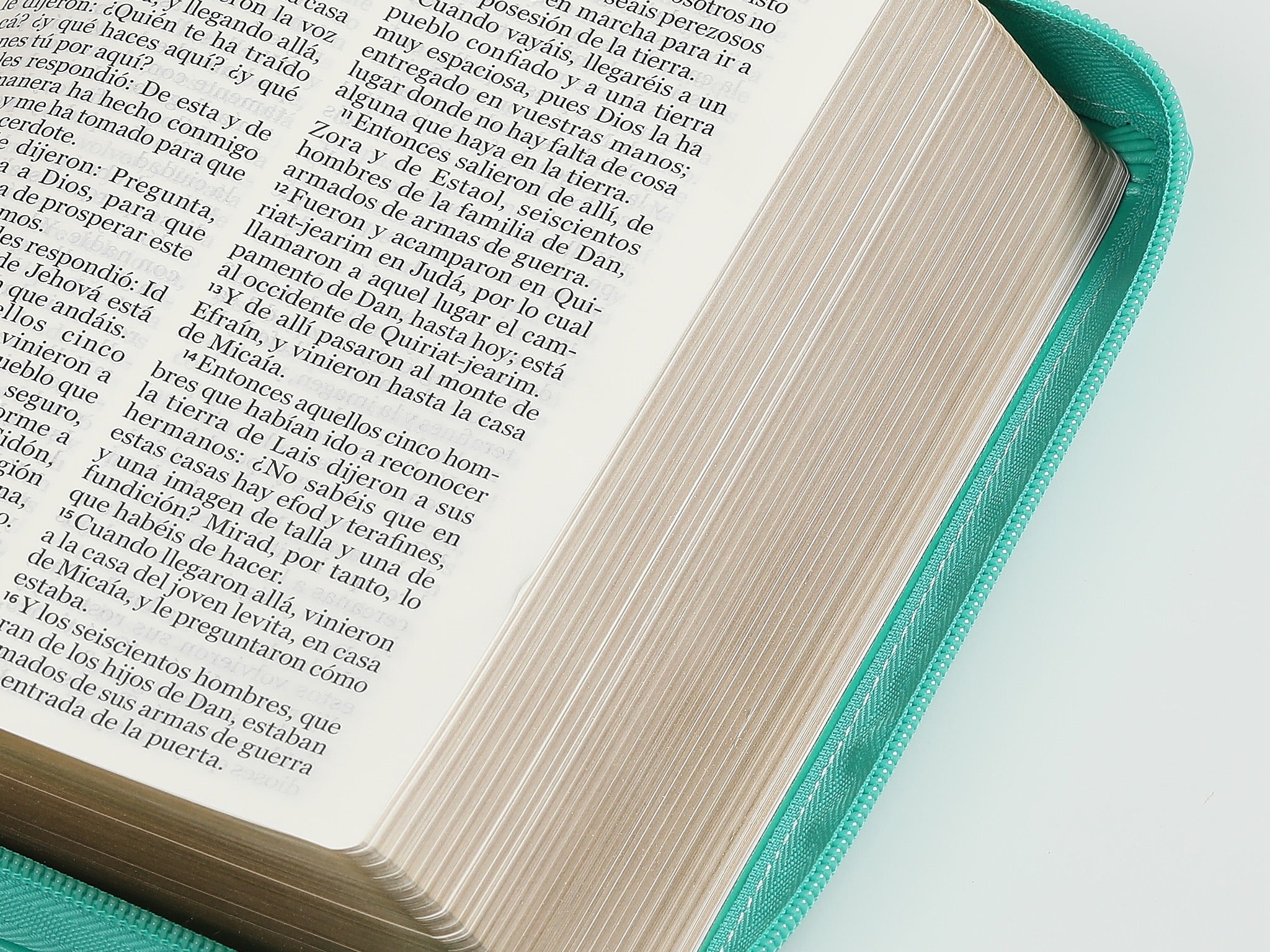 Biblia RVR60 portátil Letra Grande 11 puntos