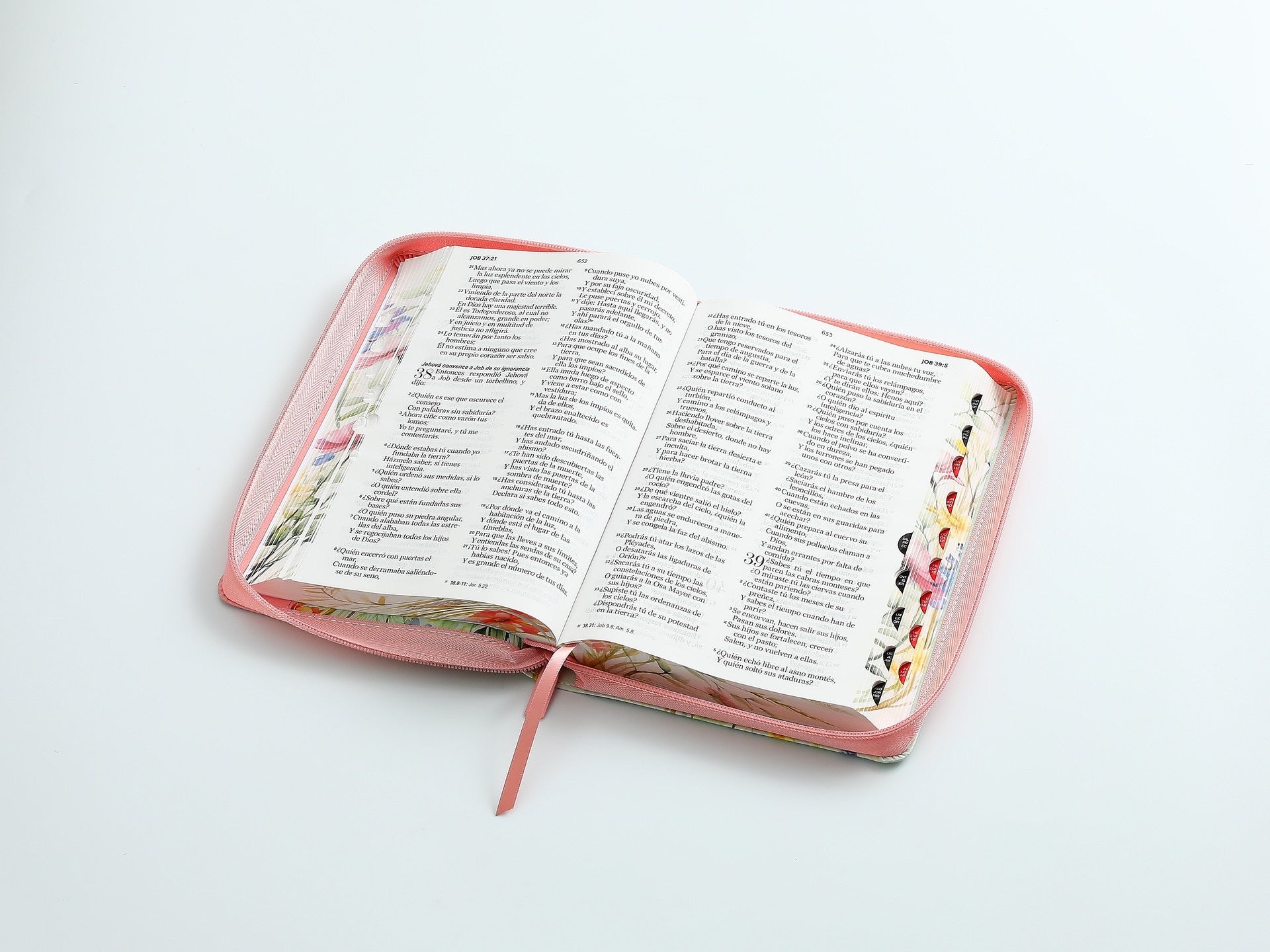 Libreria Cristiana Arca