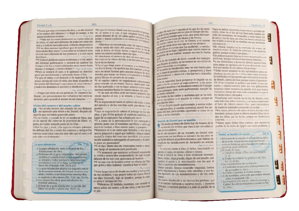 Biblia RVR 1960 para la Predicación Púrpura