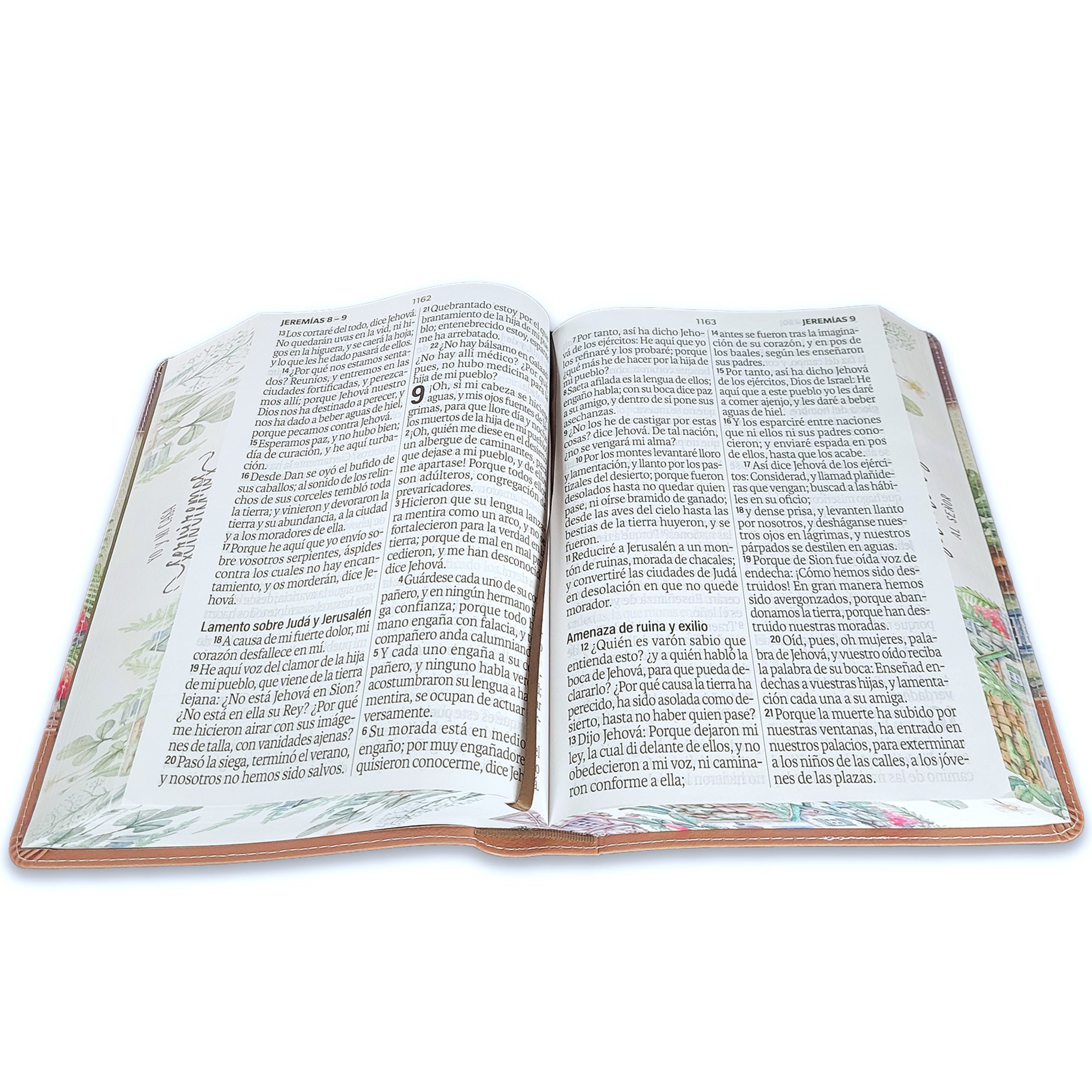 Libreria Cristiana Arca