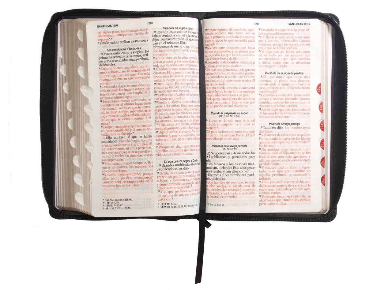 Biblia RVR60 Tamaño Manual Letra Grande cierre indice