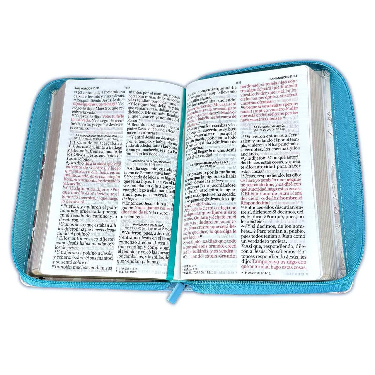 Libreria Cristiana Arca