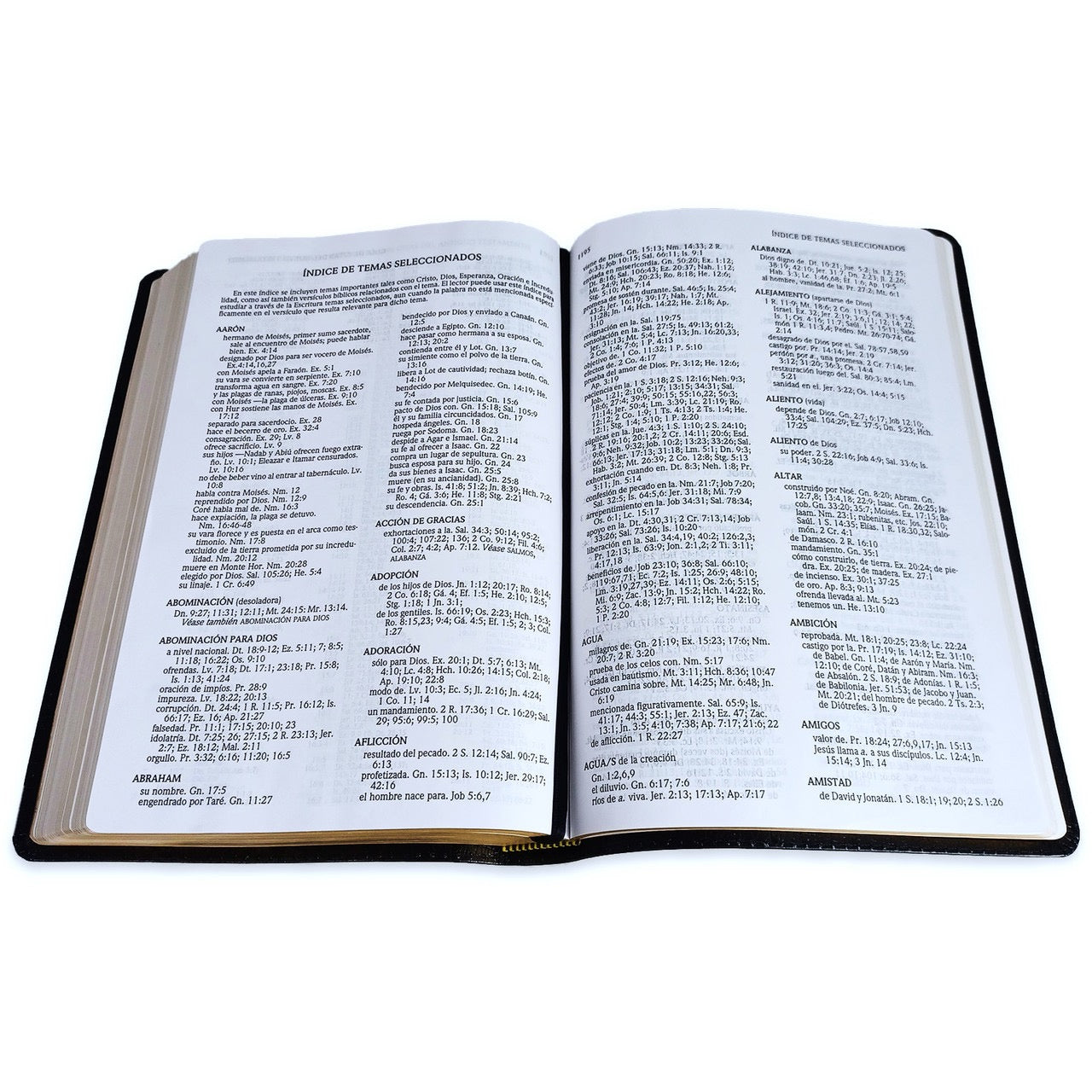 Libreria Cristiana Arca