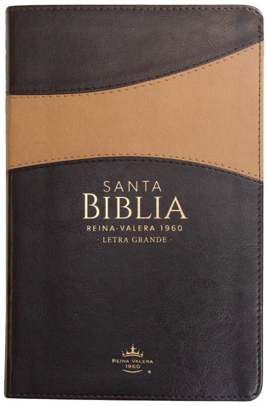 Libreria Cristiana Arca