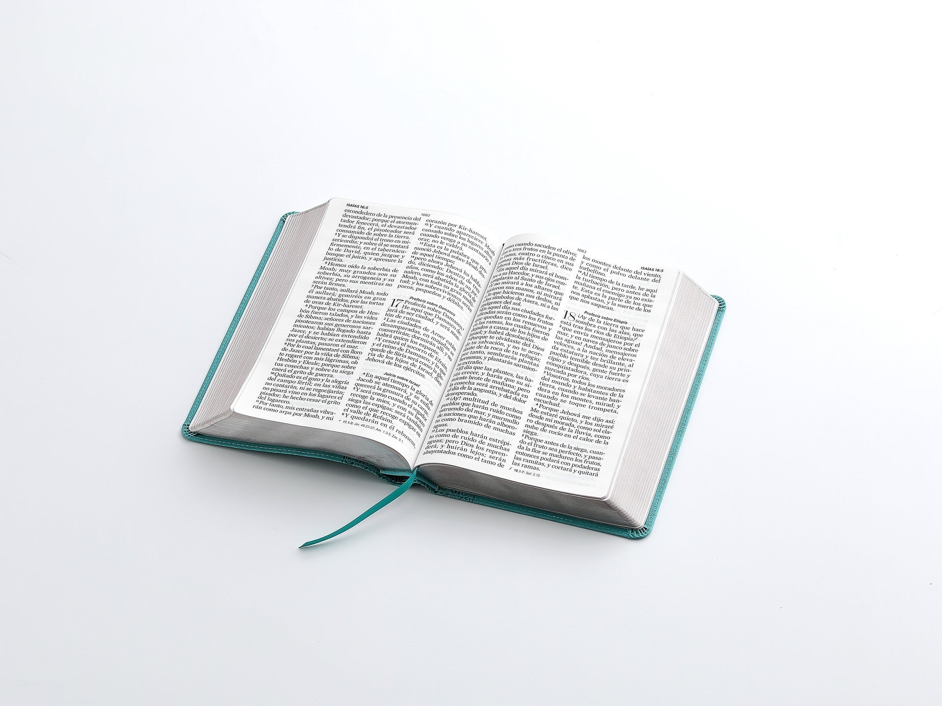 Libreria Cristiana Arca