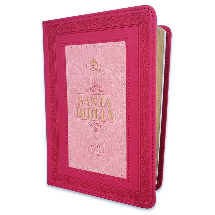 Libreria Cristiana Arca