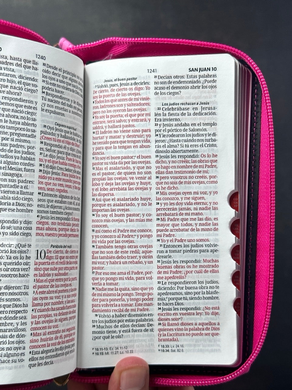 Biblia RVR60 Chequera piel Rosa