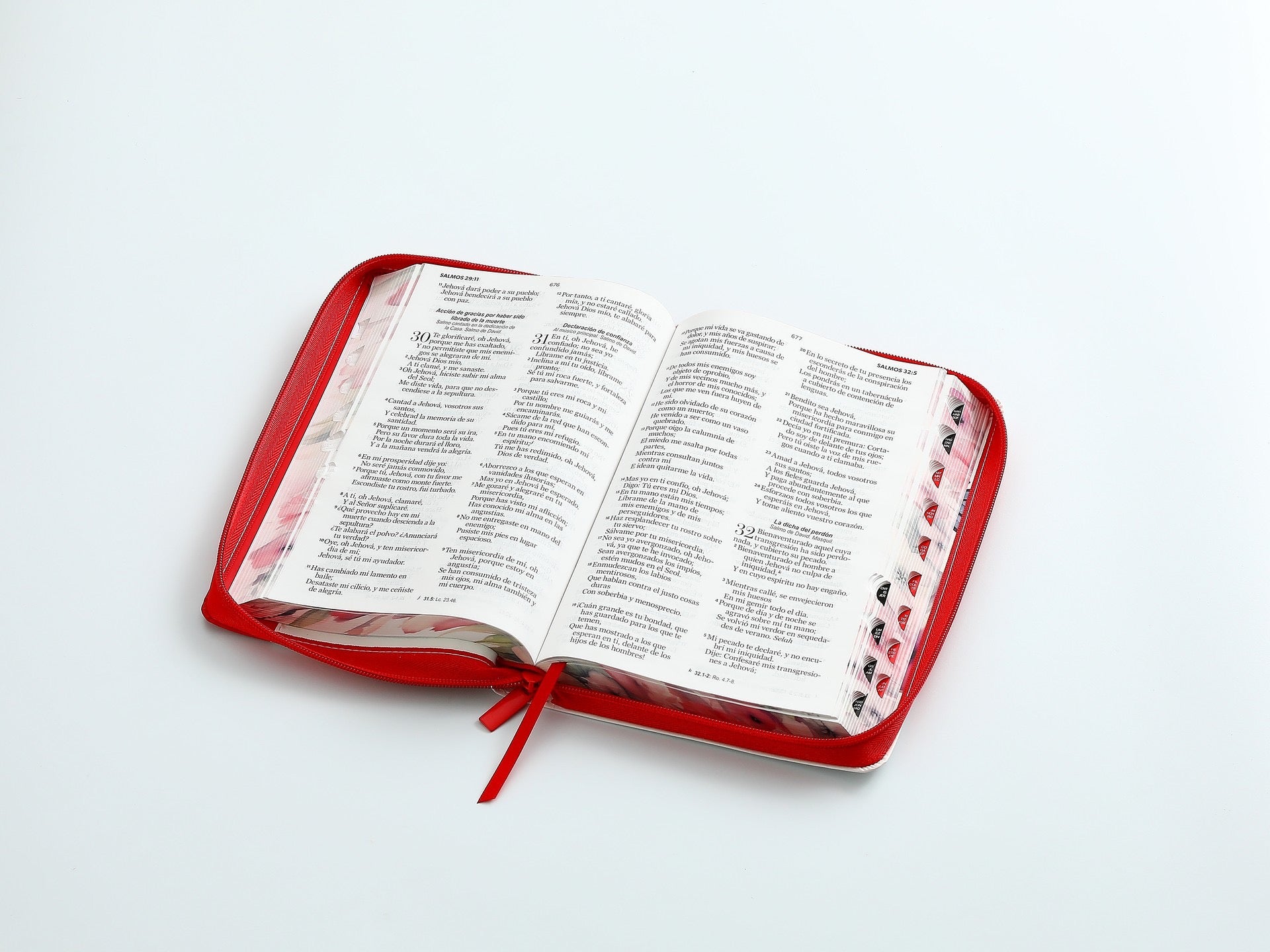 Libreria Cristiana Arca