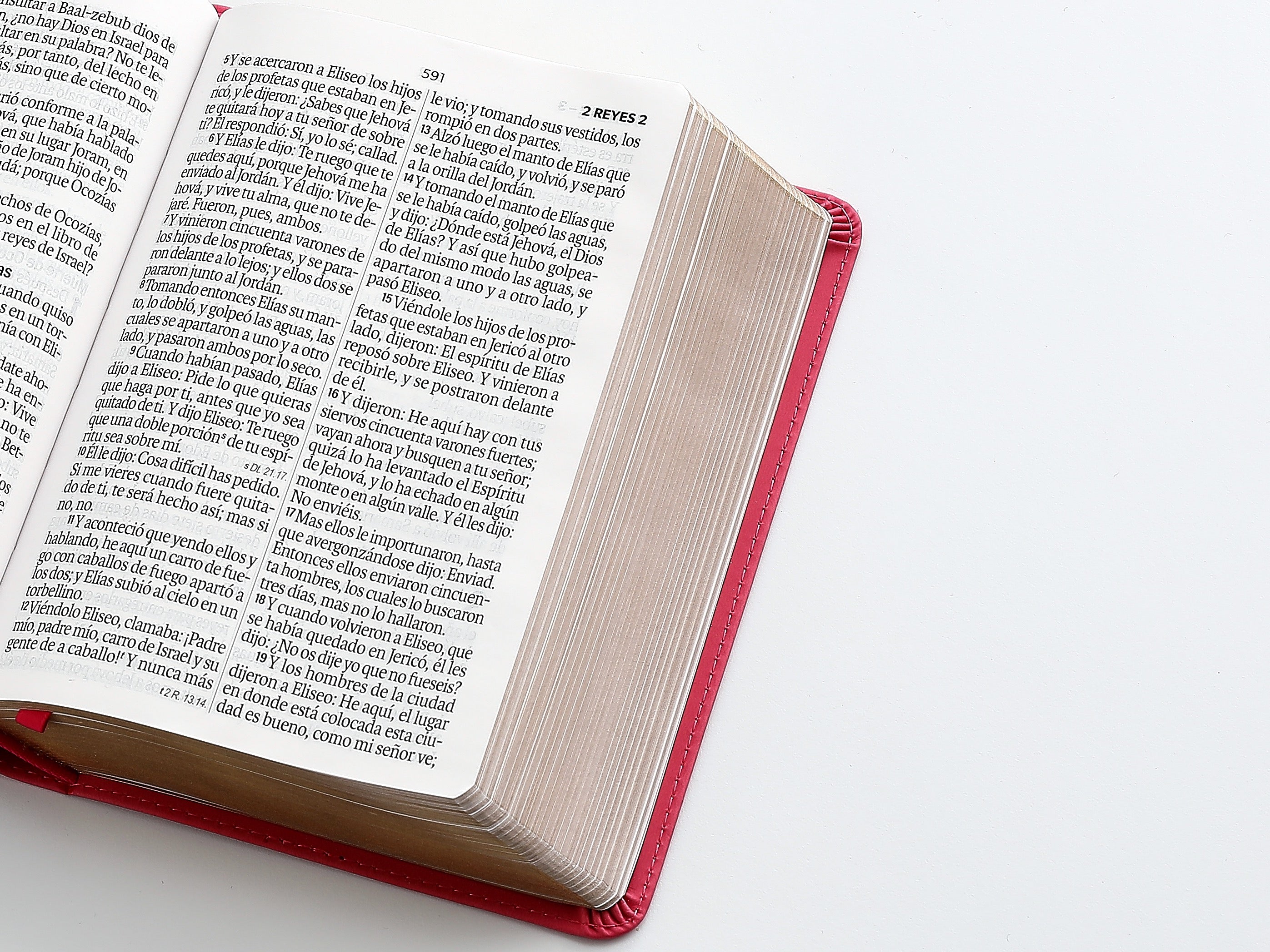 Biblia RVR60 Tamaño Compacto Letra Grande 12 puntos Rosa