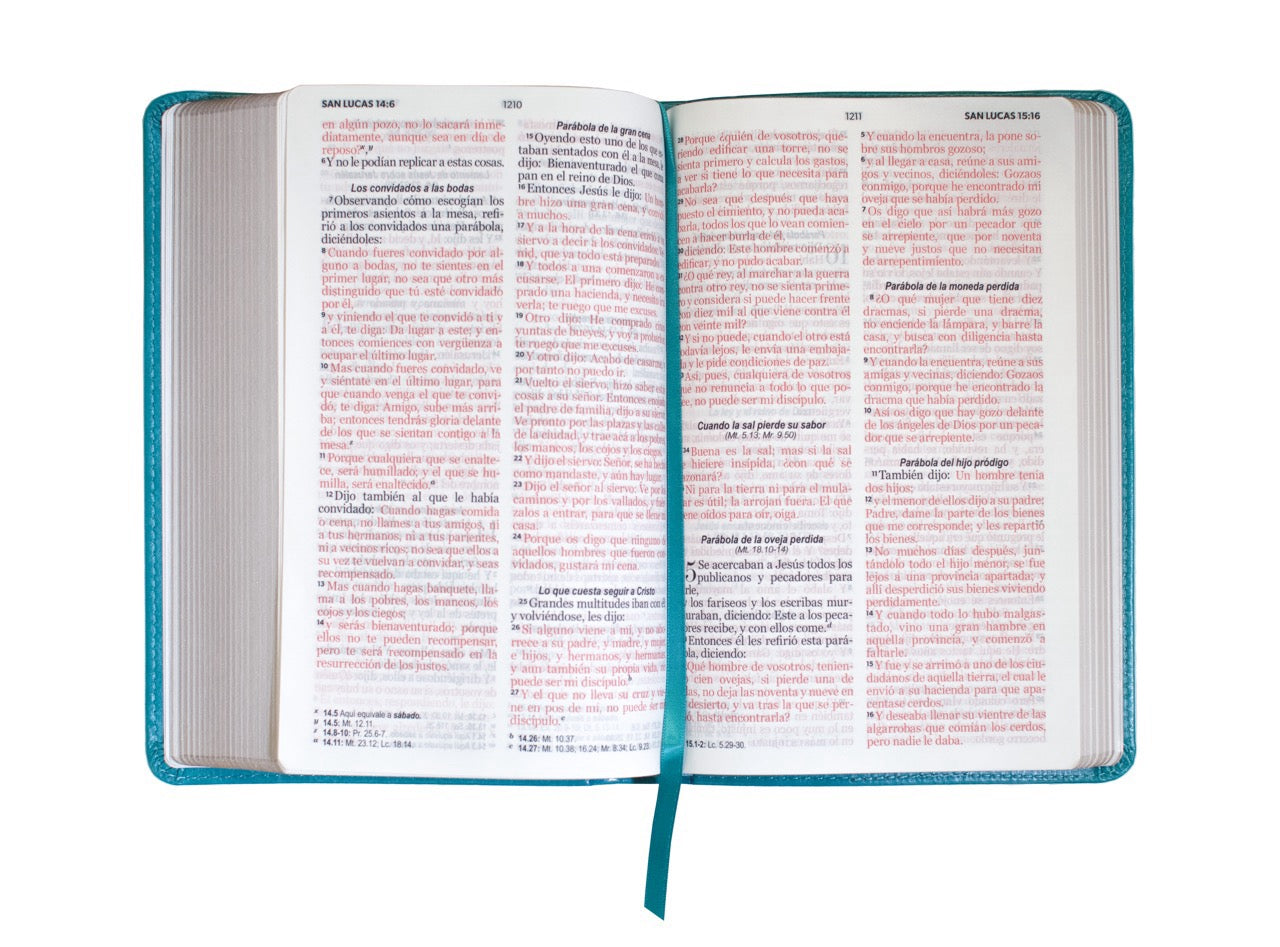 Libreria Cristiana Arca