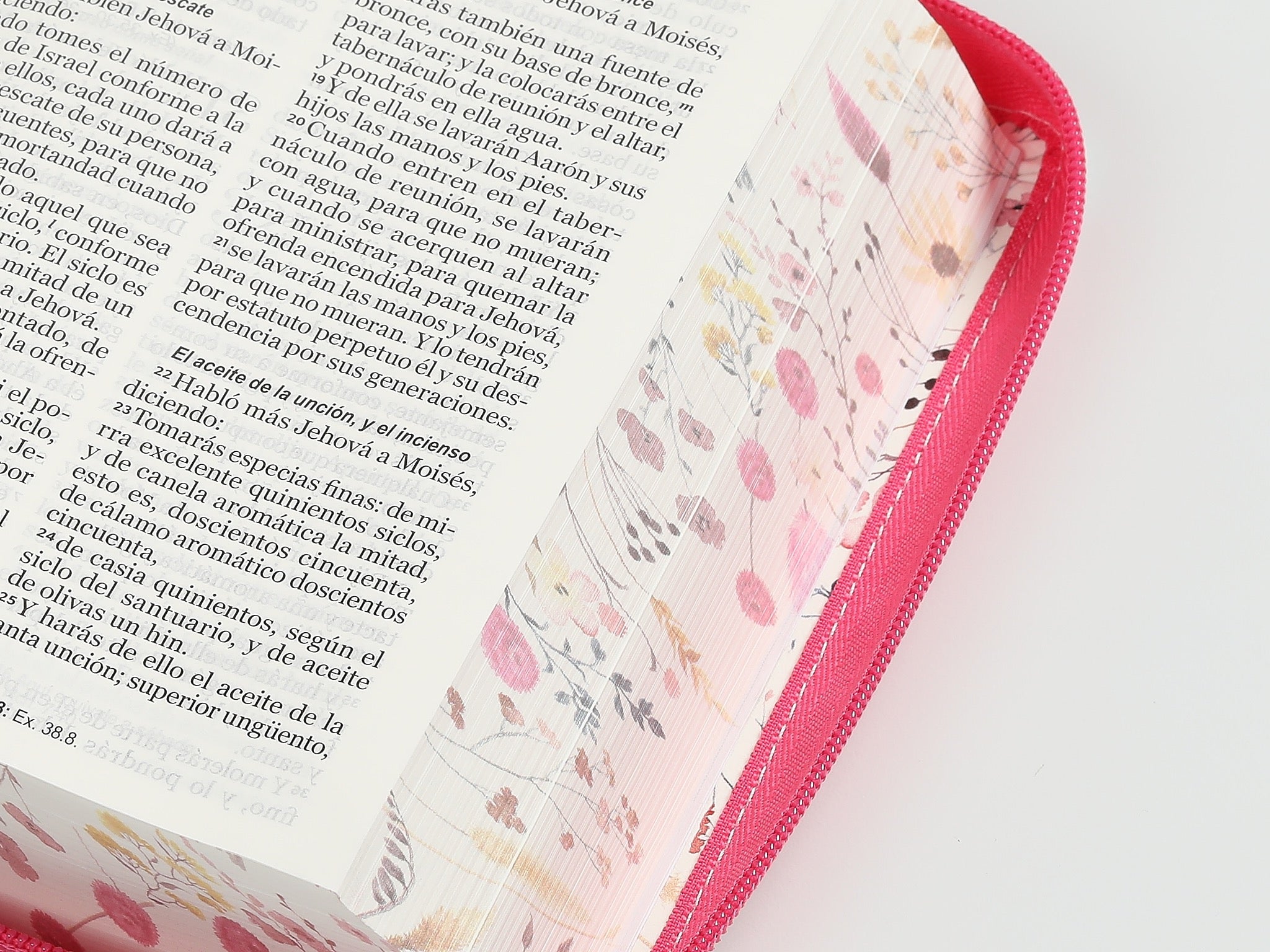 Biblia RVR 1960 Letra Grande Tamaño Manual