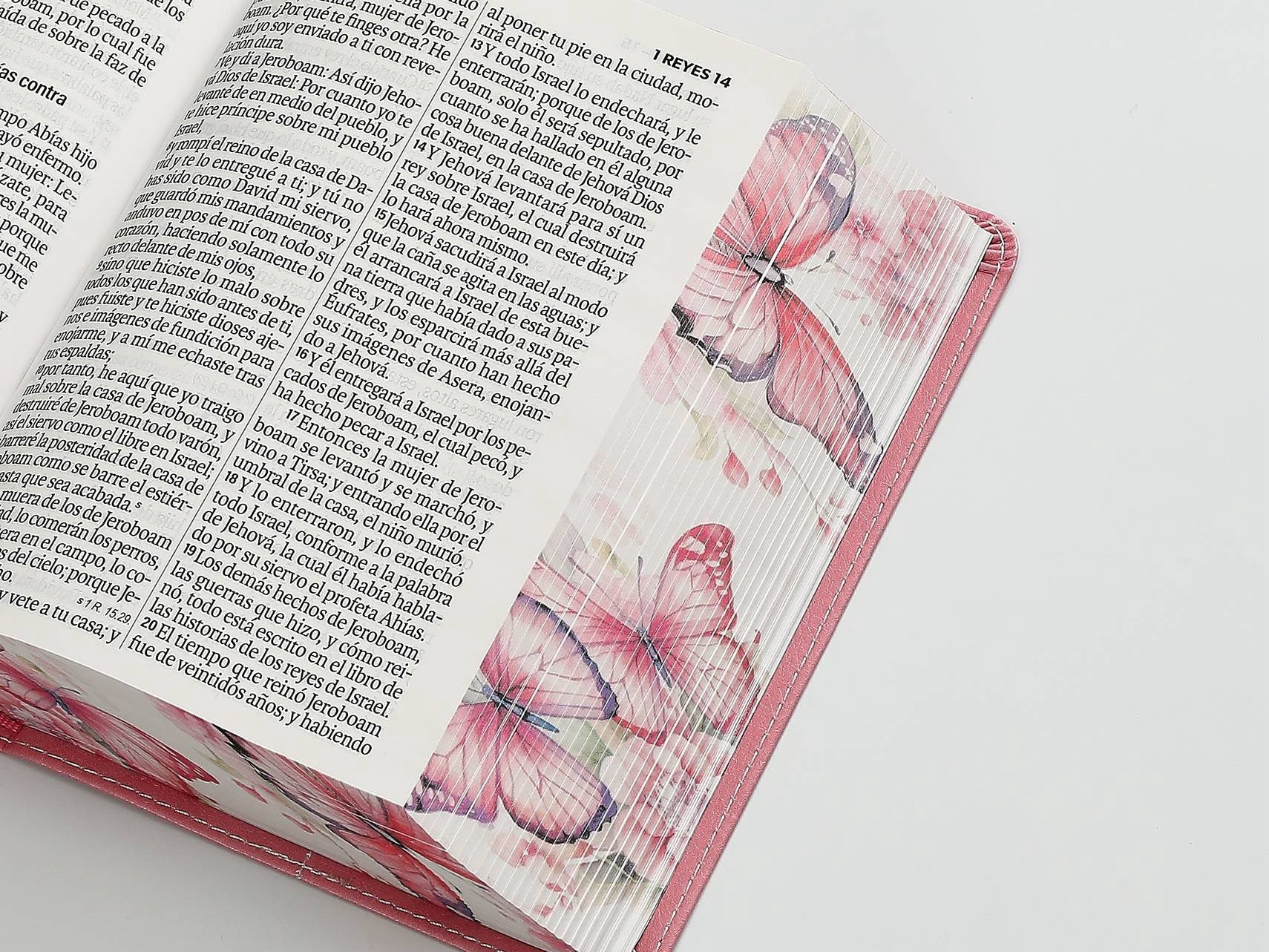 Biblia RVR60 Tamaño compacto Letra Grande 12 puntos Rosa