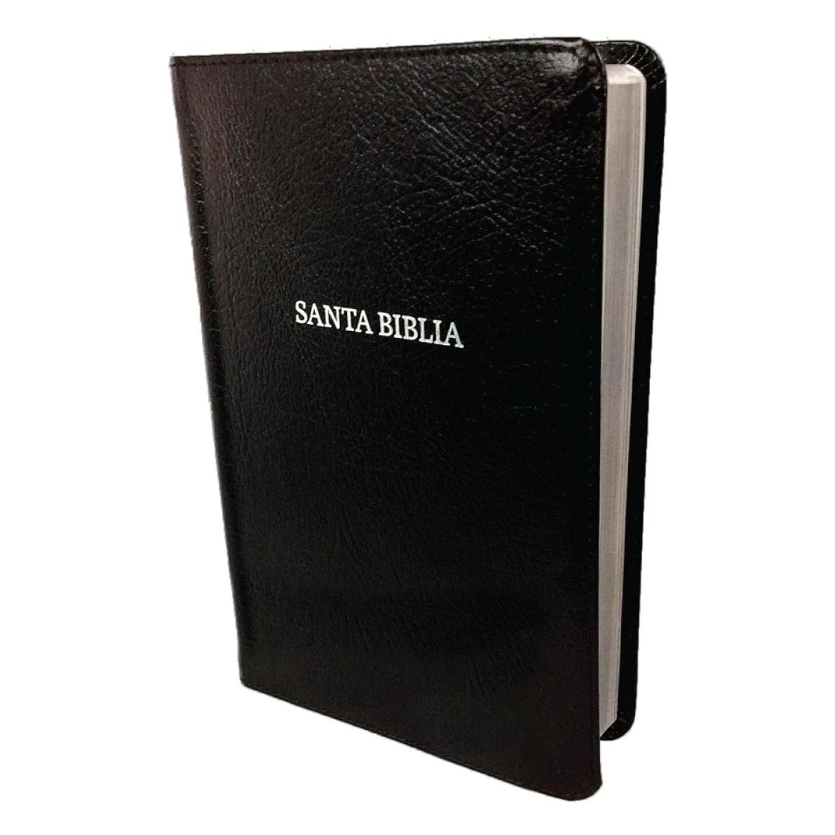 Libreria Cristiana Arca