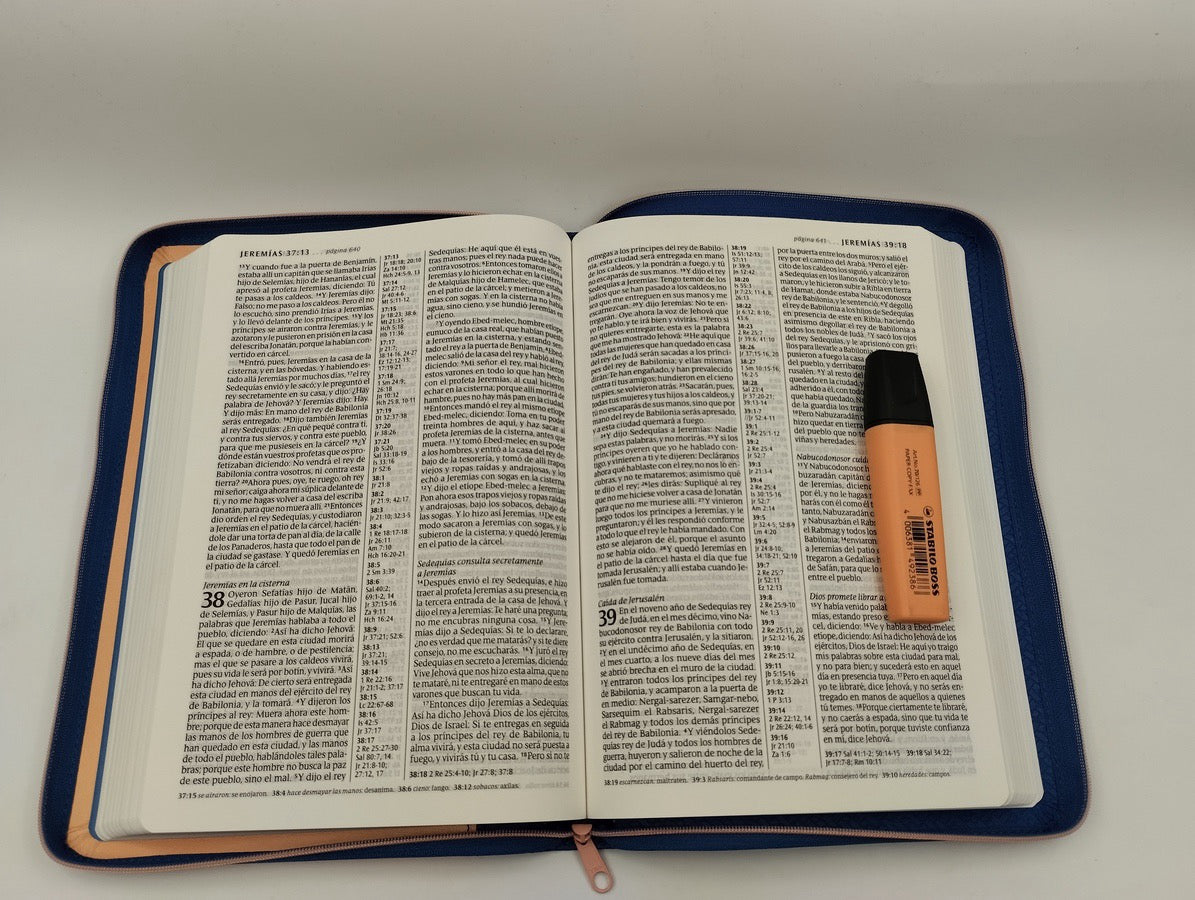 Biblia RVR 1960 letra grande