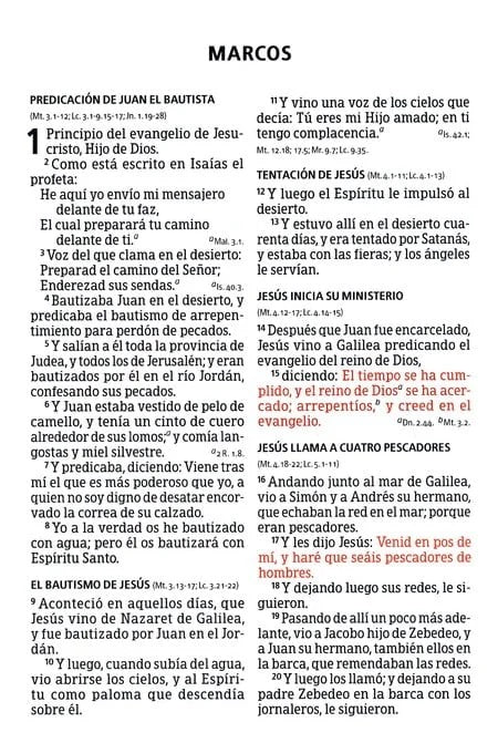 Biblia RVR 1960 Letra Grande Tamaño Manual Negro