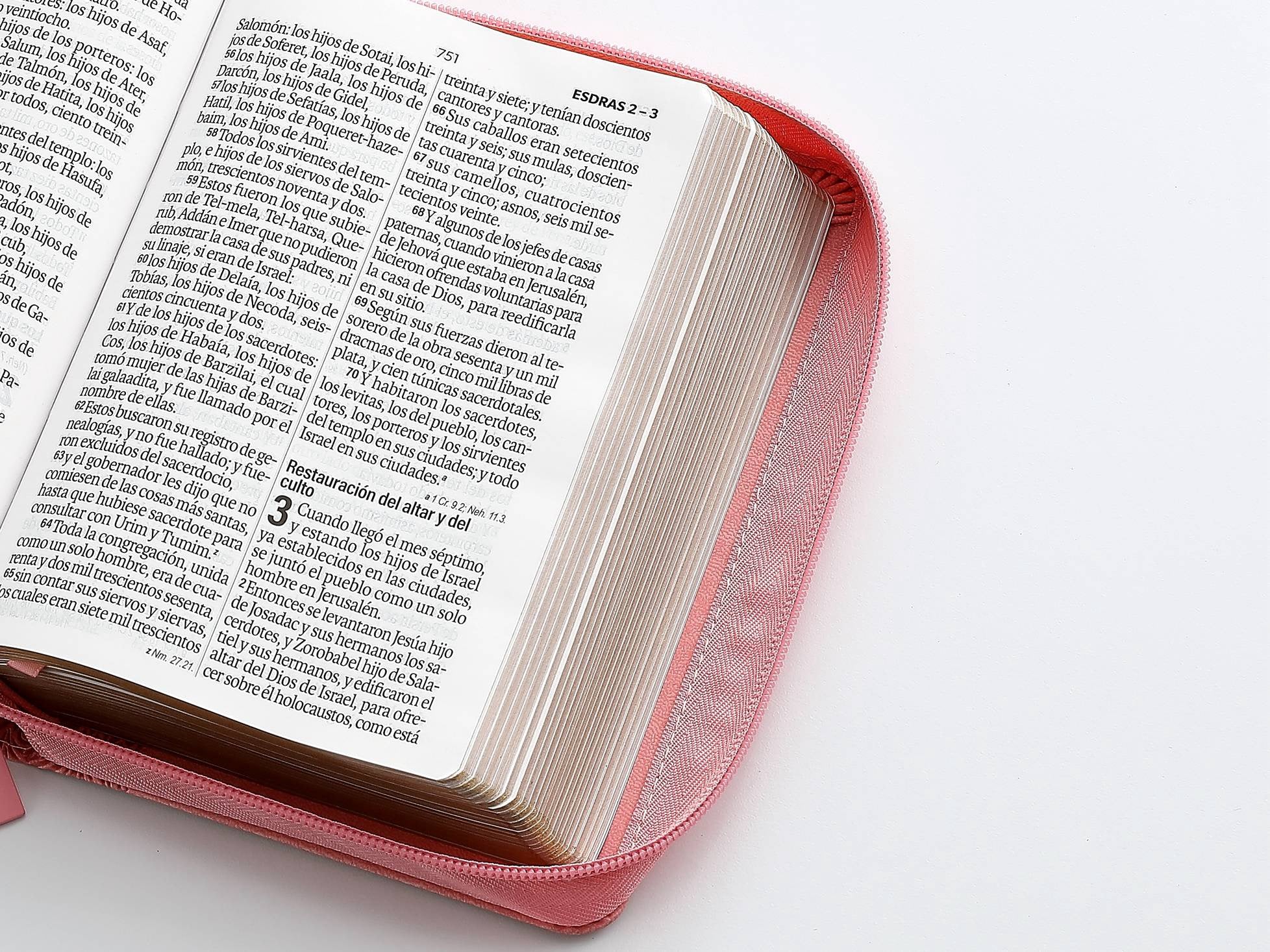 Biblia RVR 1960 Compacta Rosa
