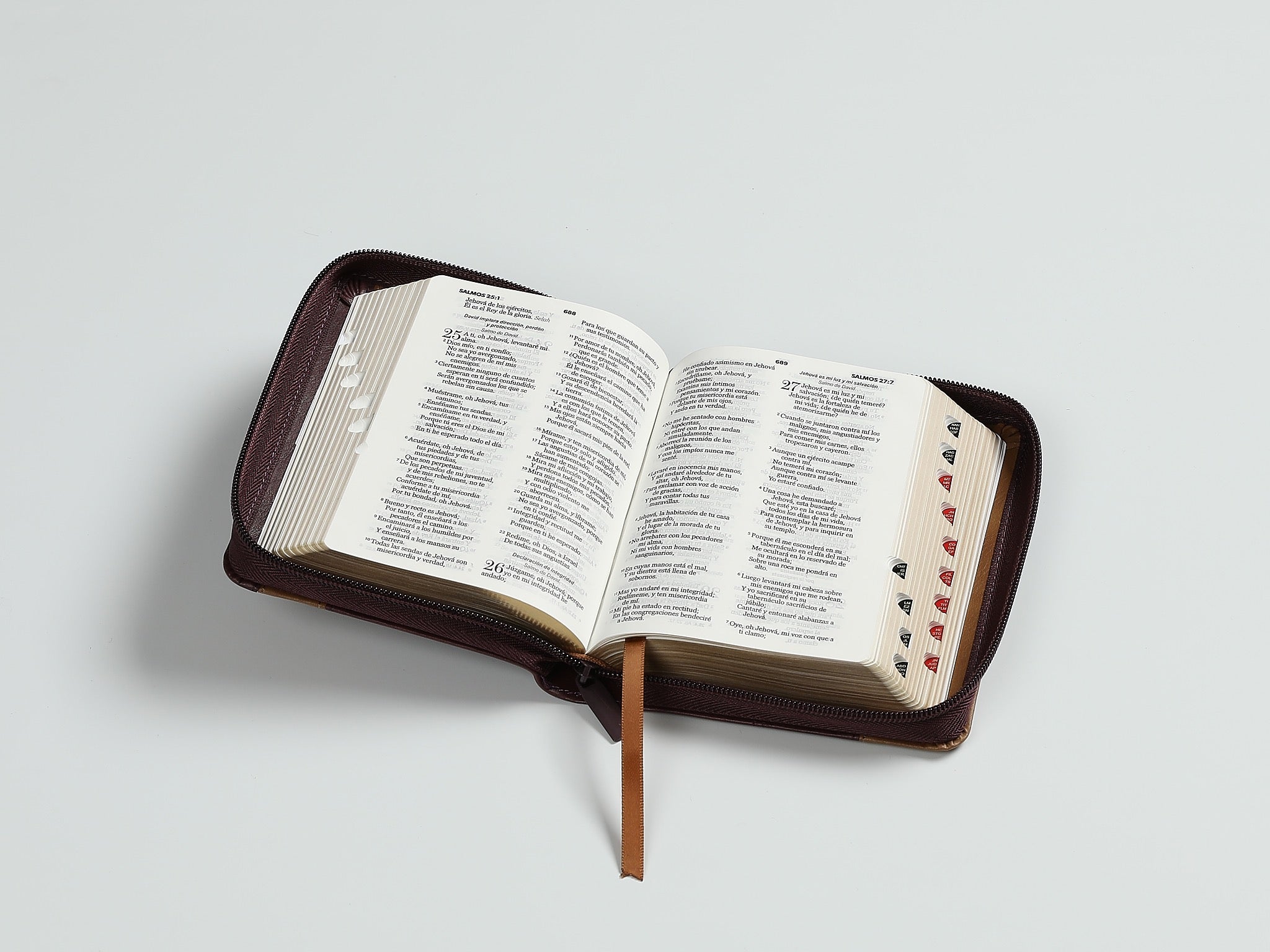 Libreria Cristiana Arca