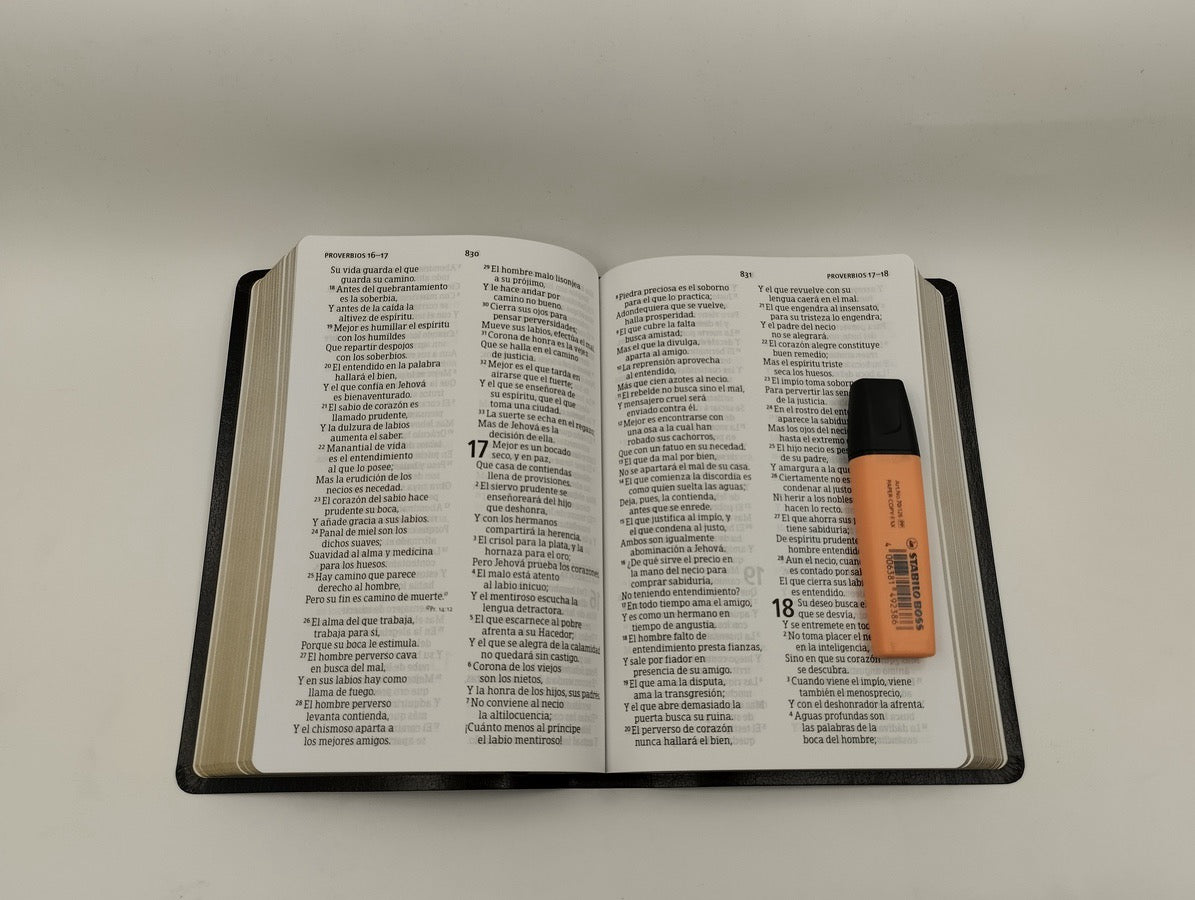 Biblia RVR 1960 Letra Grande Tamaño Manual Negro