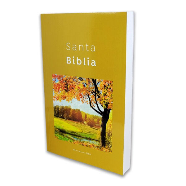 Libreria Cristiana Arca