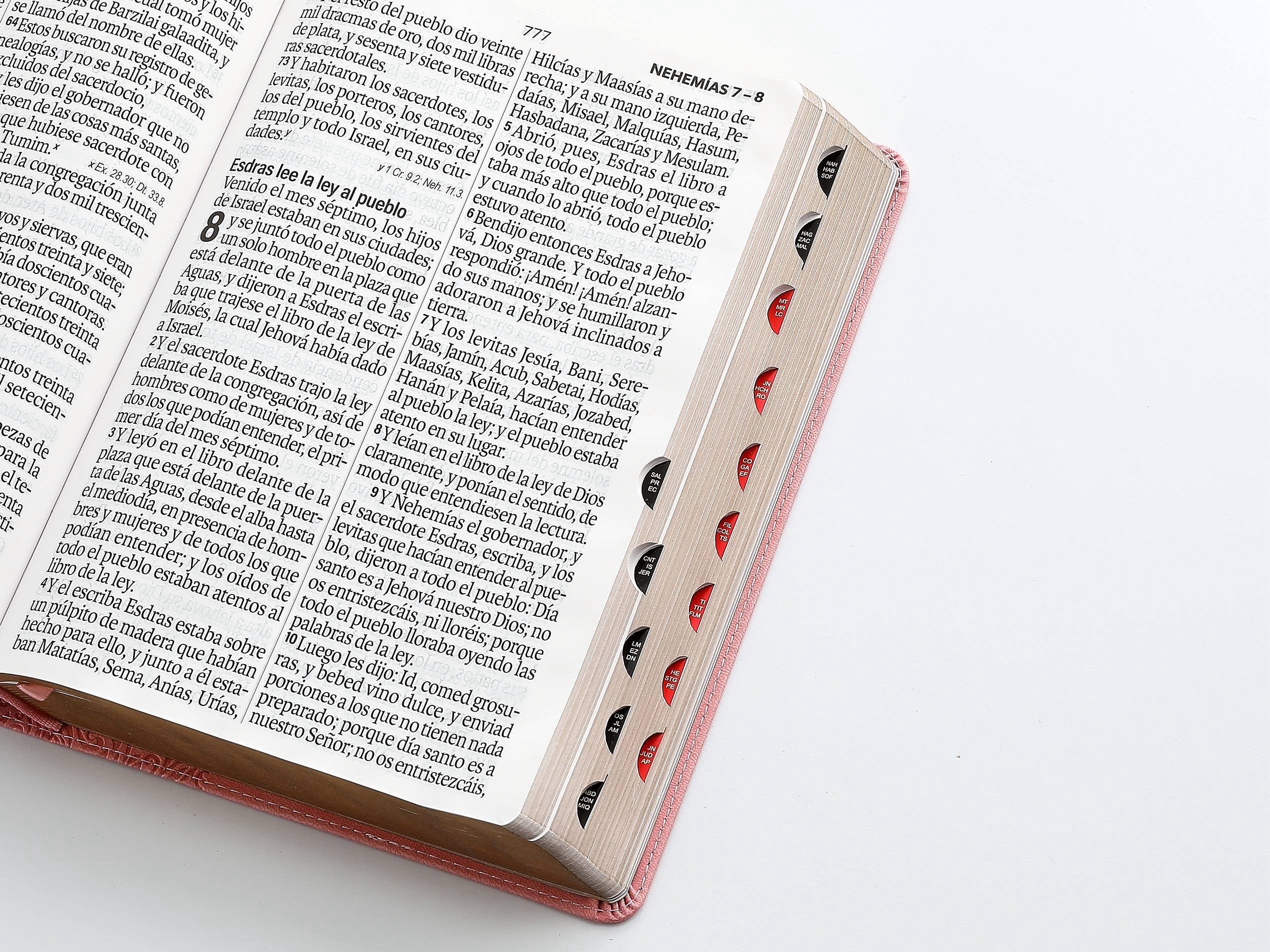 Biblia RVR60 Letra Súper Gigante rosa