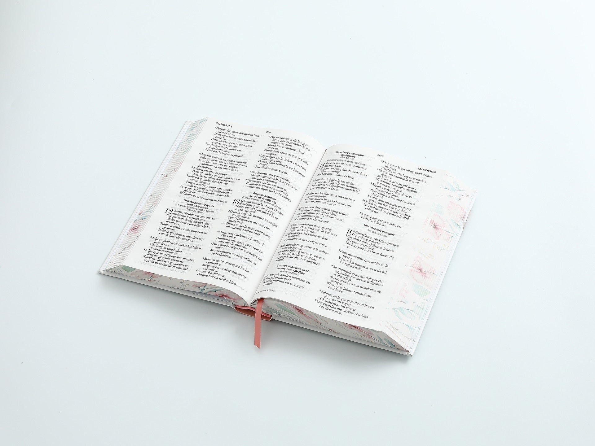 Libreria Cristiana Arca