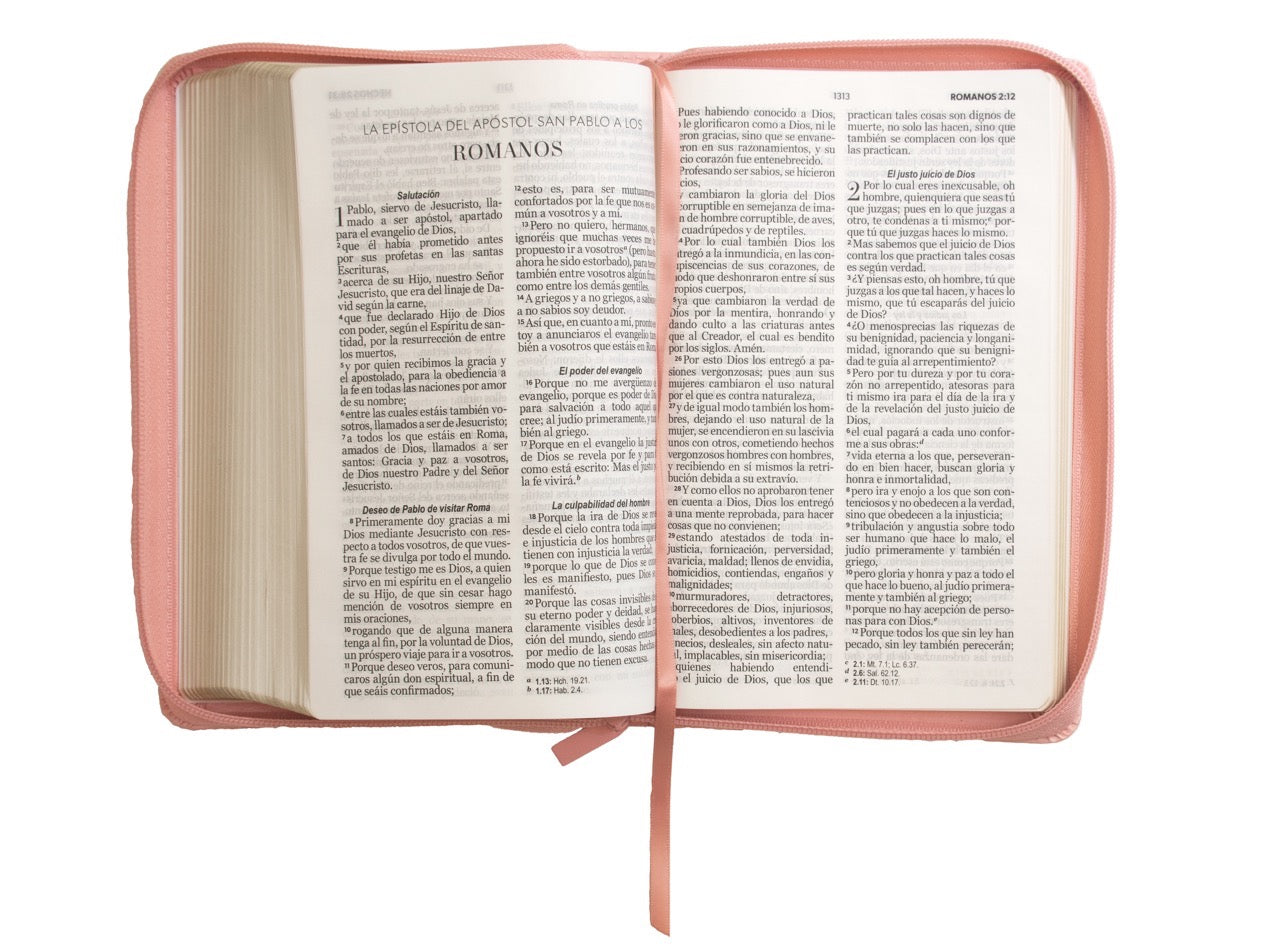 Libreria Cristiana Arca