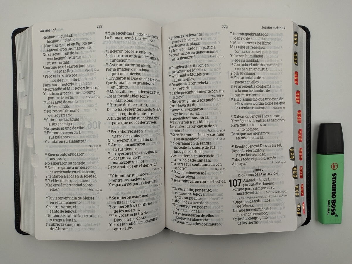 Libreria Cristiana Arca
