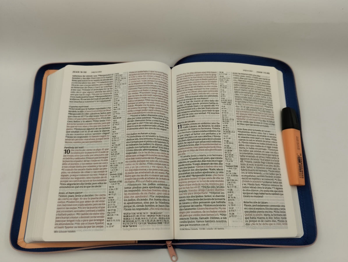 Biblia RVR 1960 letra grande