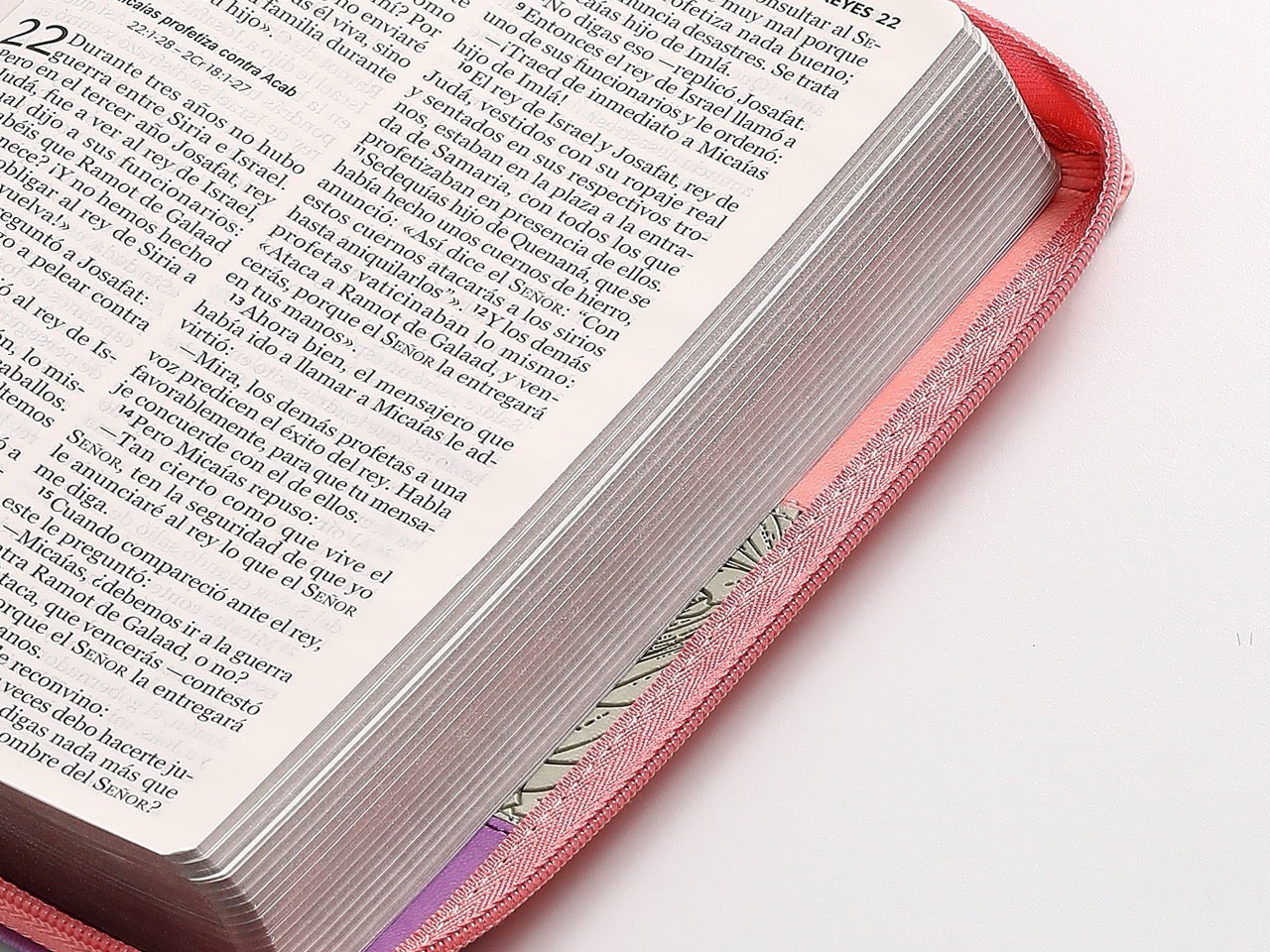 Libreria Cristiana Arca