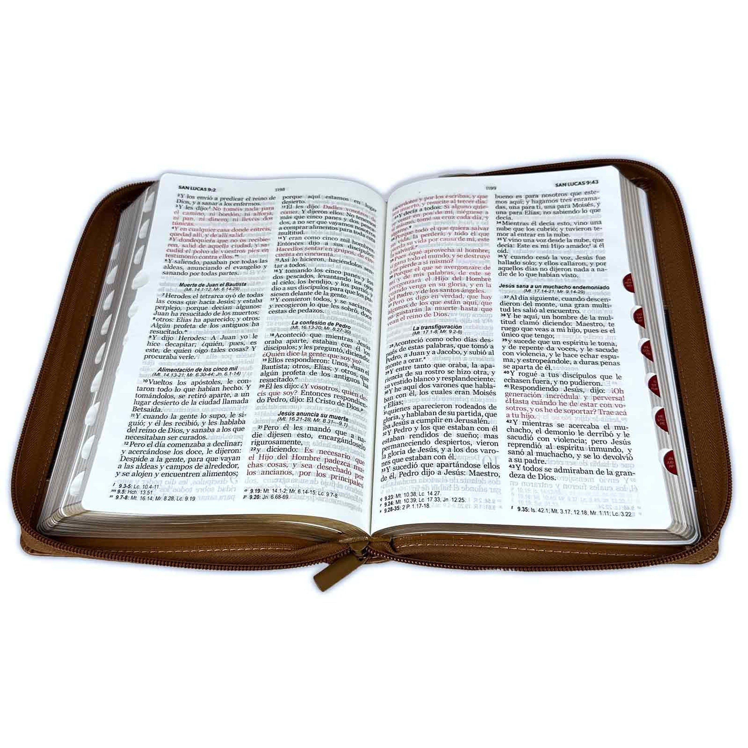 Libreria Cristiana Arca