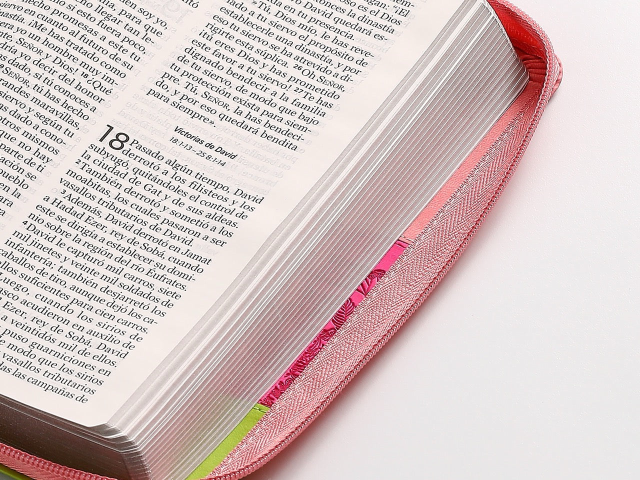 Biblia NVI Peninsular Tamaño Manual Letra Grande