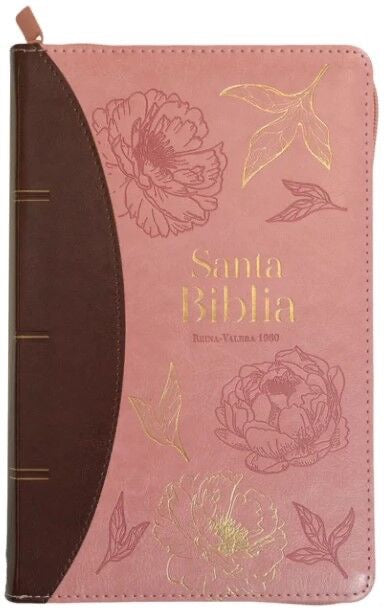 Libreria Cristiana Arca