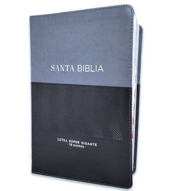 Libreria Cristiana Arca