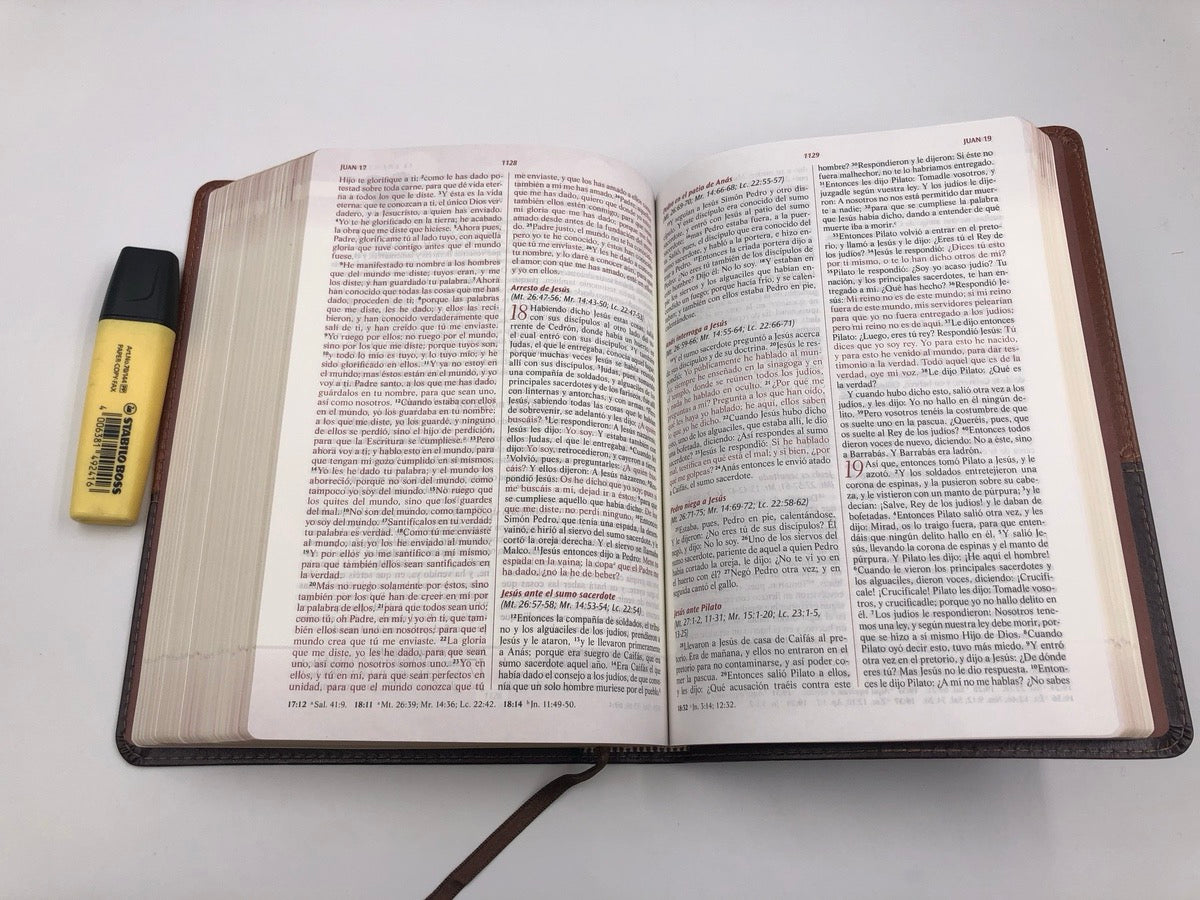 Biblia RVR 1960 Devocional los Lenguajes del Amor