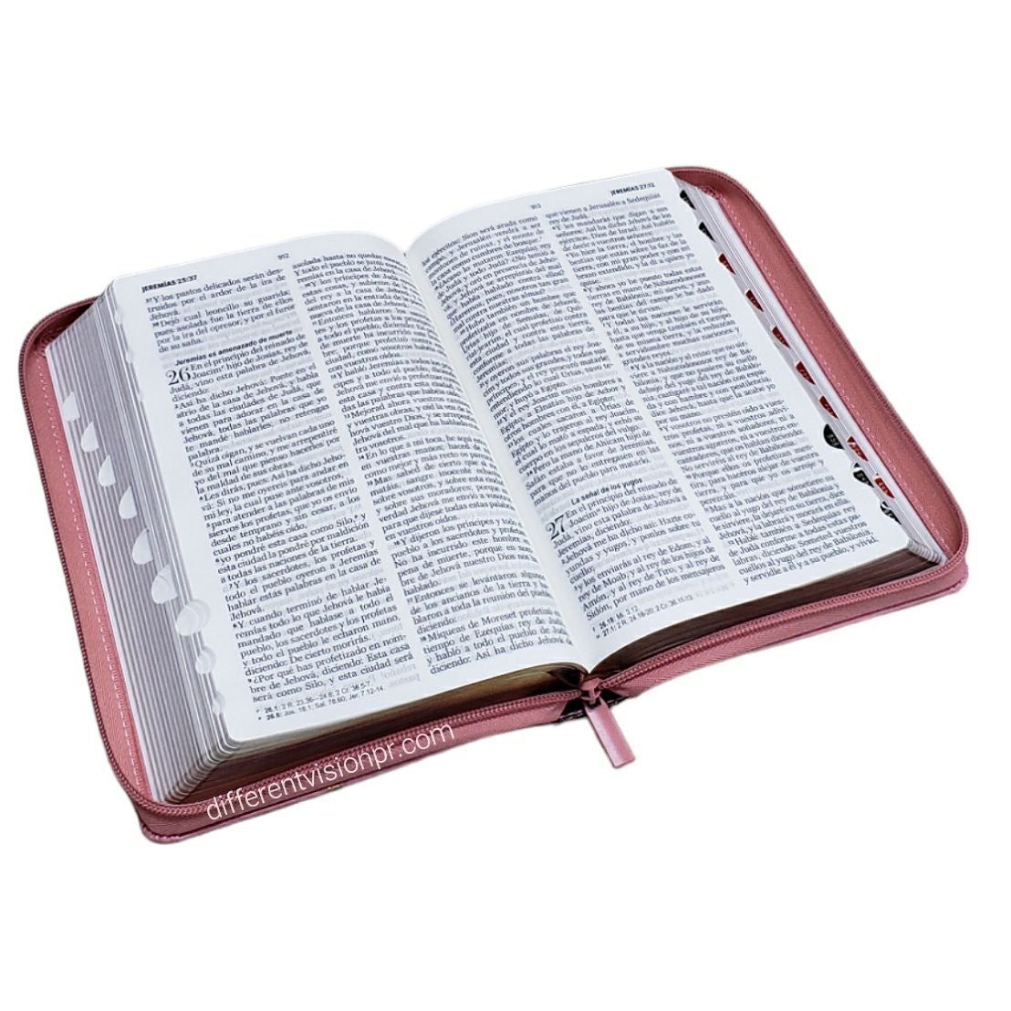 Libreria Cristiana Arca