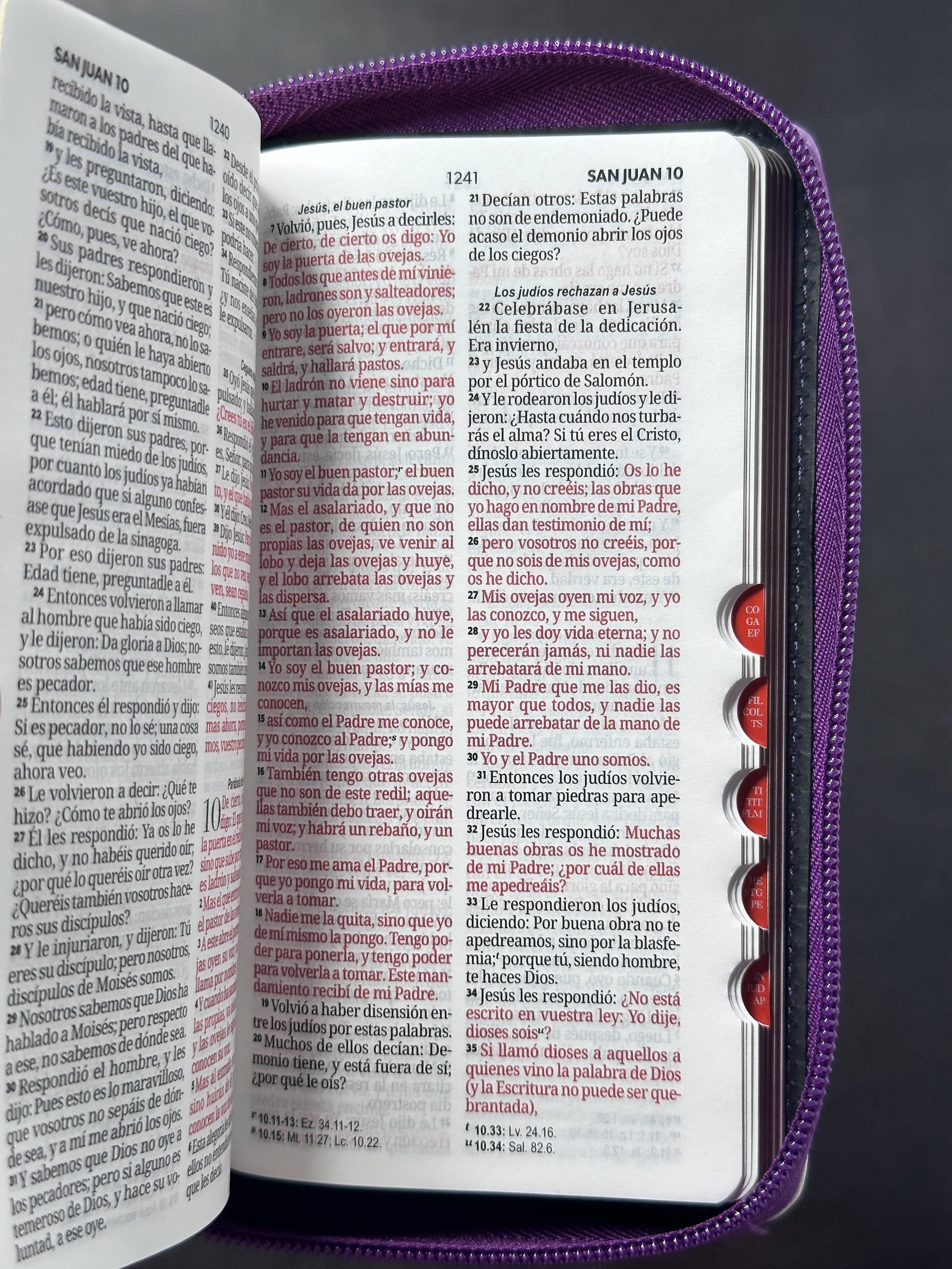 Libreria Cristiana Arca
