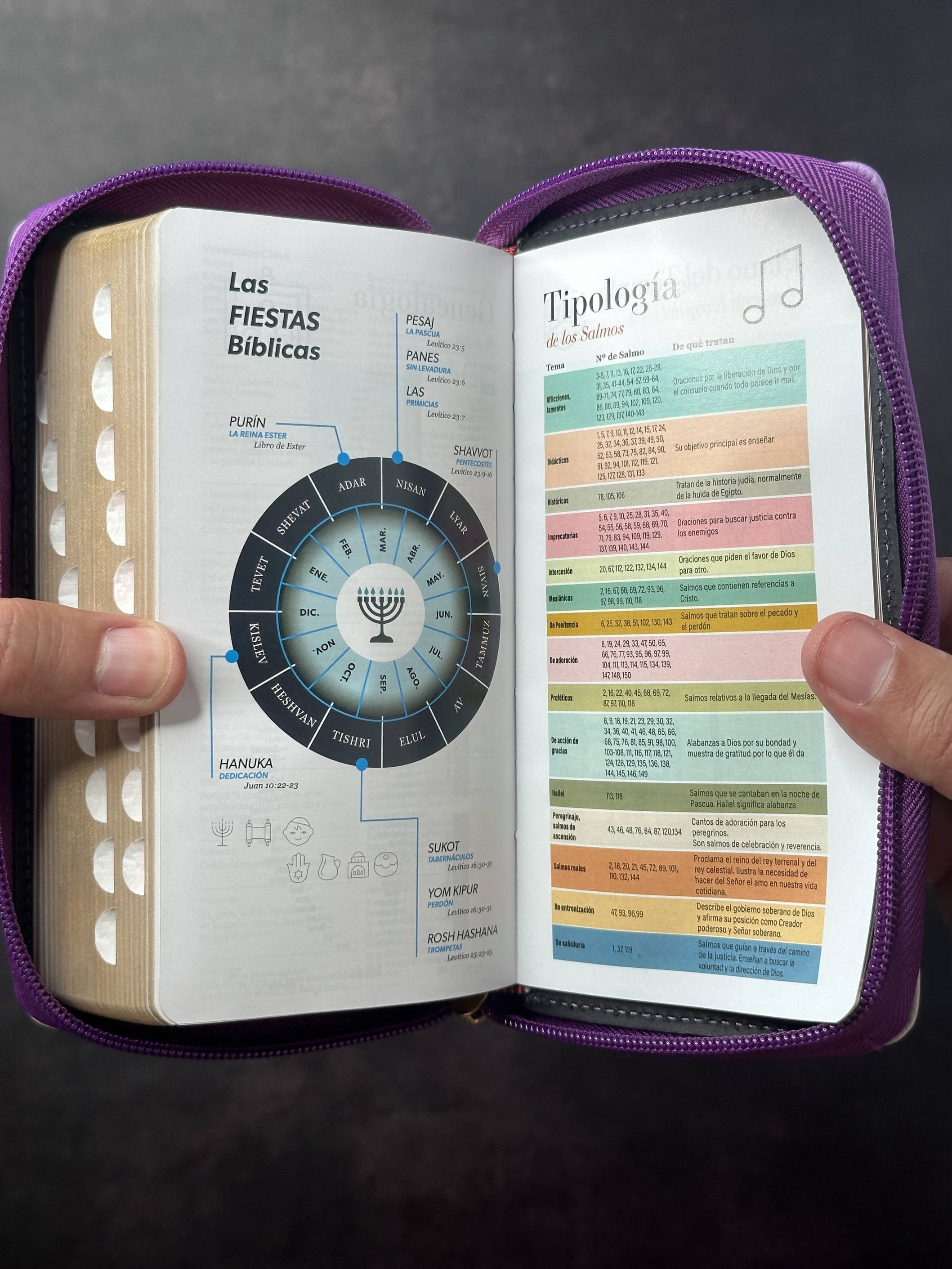 Biblia RVR60 chequera piel lila