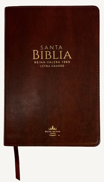 Libreria Cristiana Arca