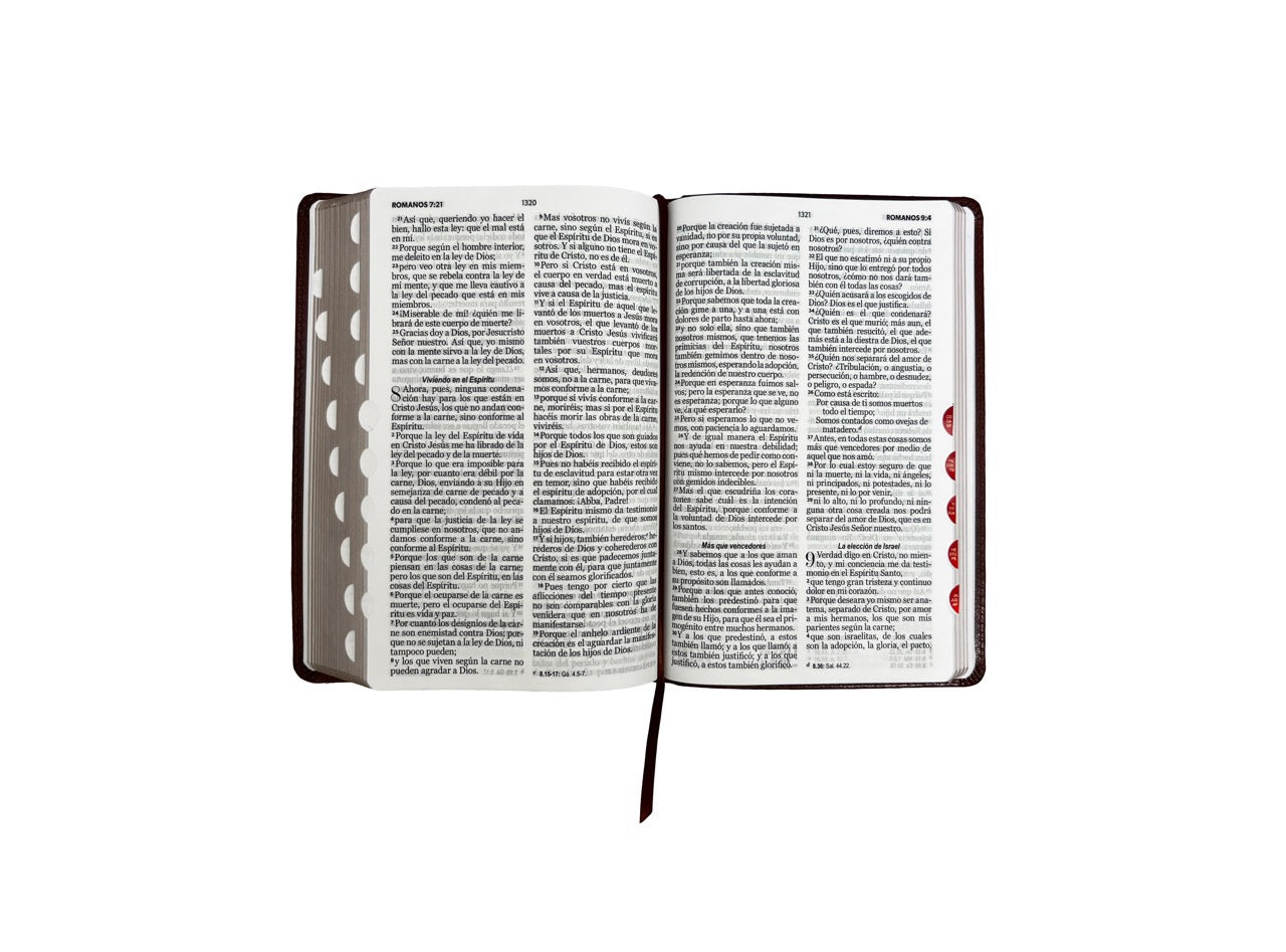 Biblia RVR60 Tamaño Manual Letra Grande con indice café