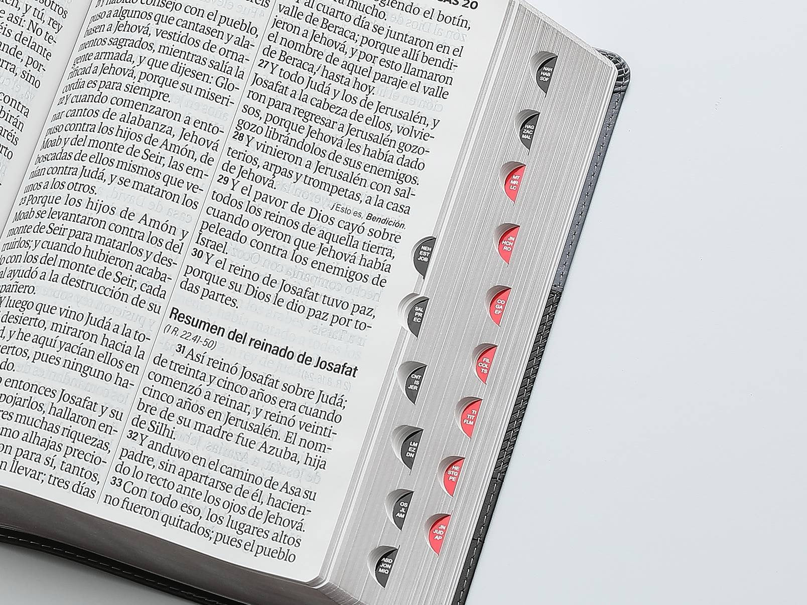 Biblia RVR60 Letra Súper Gigante negro