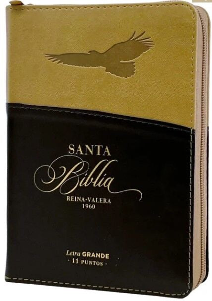 Libreria Cristiana Arca