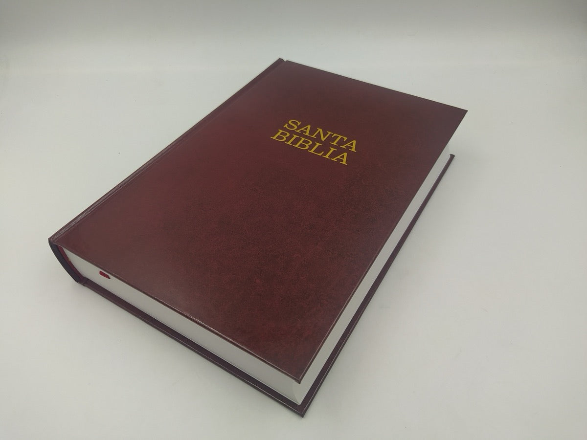 Libreria Cristiana Arca
