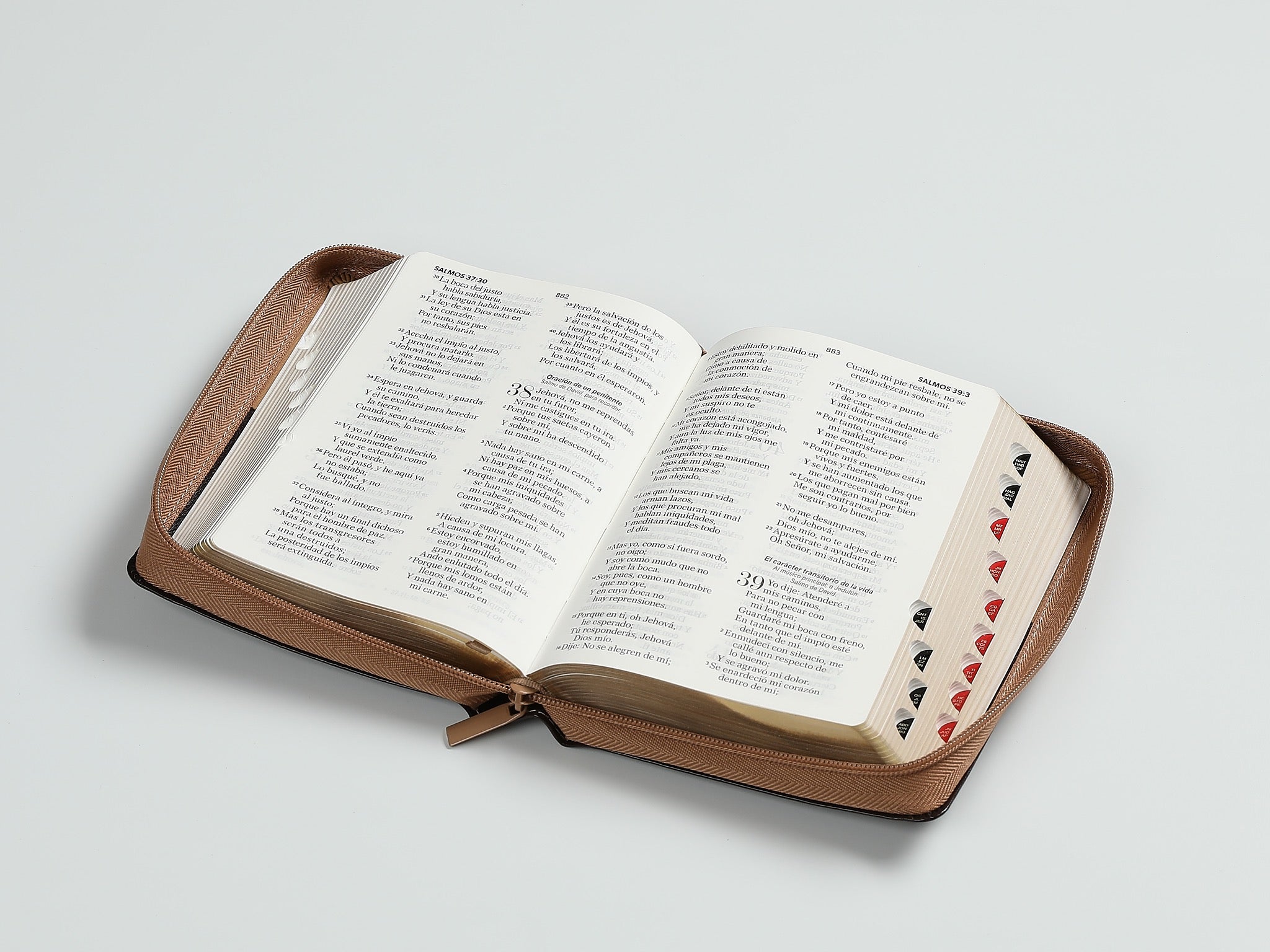 Libreria Cristiana Arca