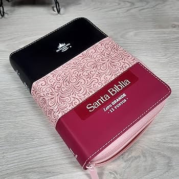 Biblia RVR 1960 Letra Grande Tamaño Manual