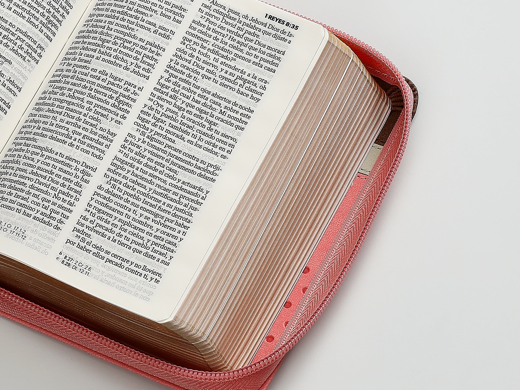 Biblia RVR60 de bolsillo Primor Café